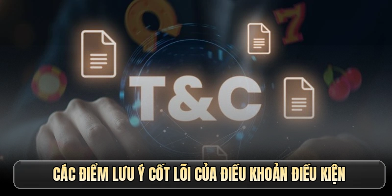 Các điểm lưu ý cốt lõi của điều khoản điều kiện